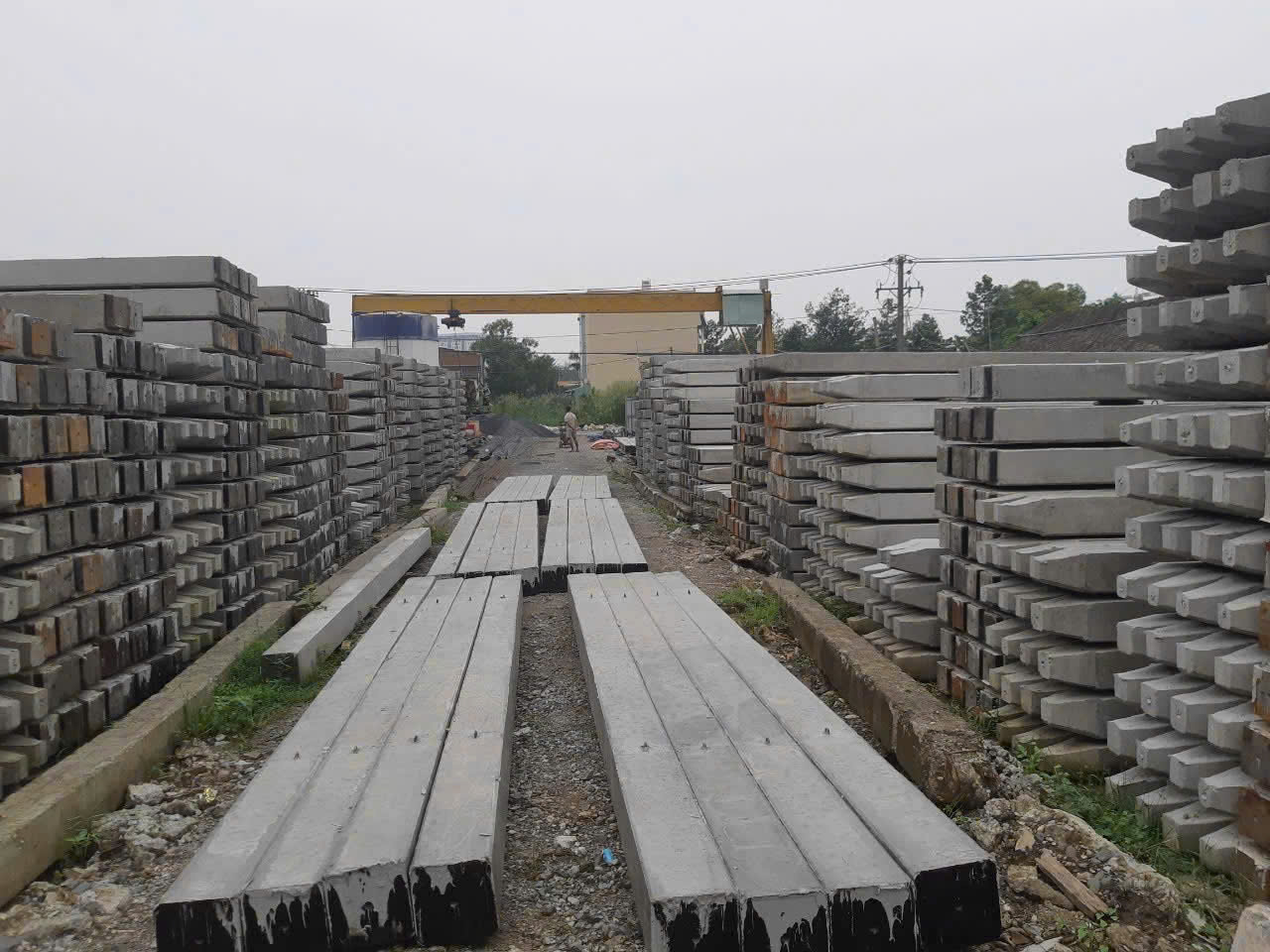 Xưởng đúc cọc bê tông